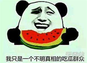 表情吃瓜是啥意思,揭秘网络流行语背后的趣味与内涵