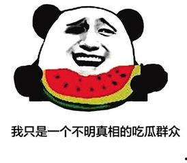 网络用语吃瓜是什么意思啊,吃瓜背后的趣味与内涵